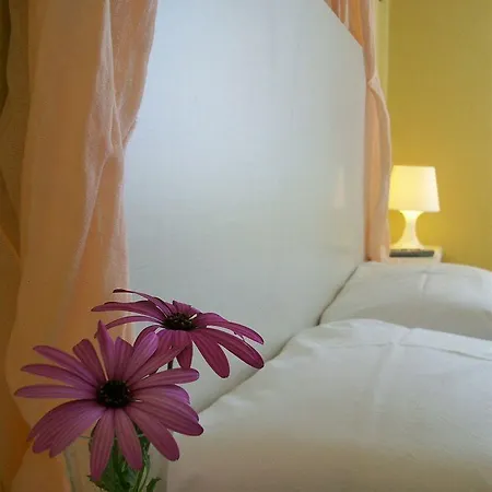 Porto View And Appartement